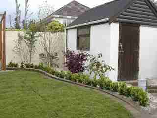 Newly rendered shed and raised box hedging border