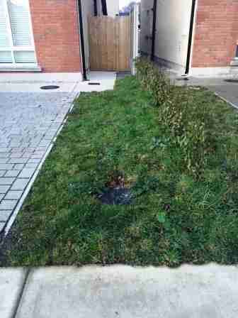 Image of untidy lawn area and new hedging