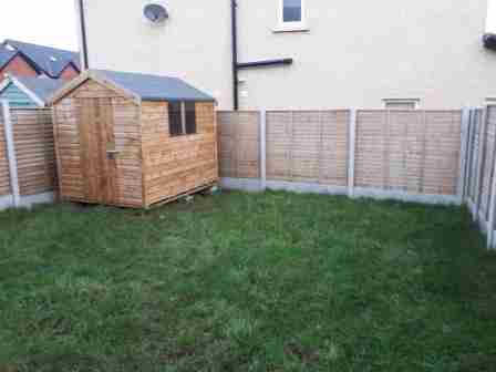 Image of lawn in poor condition, patchy due to animals and wet weather