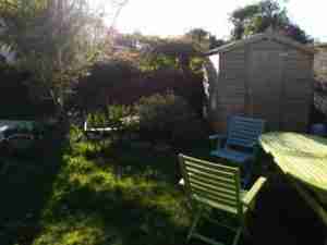 Image of Cluttered garden space before